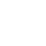 Yana Flowers | Cookstown Florist